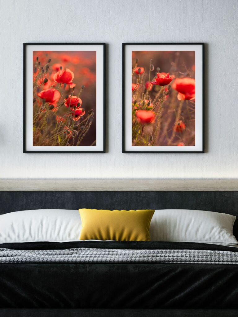 Zestaw 2 grafik w czerwone maki