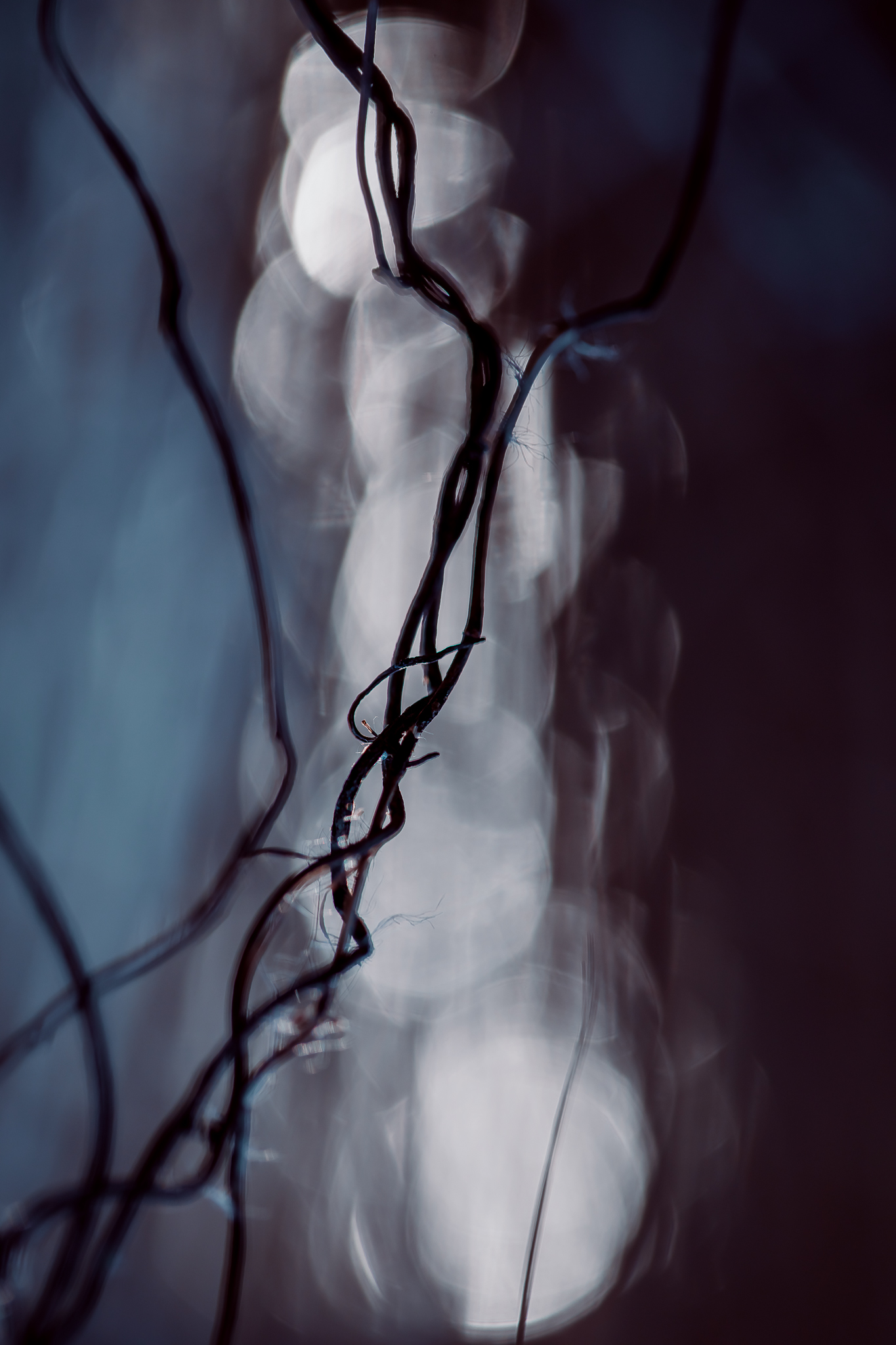 abstract macrophotography navy blue, work of art