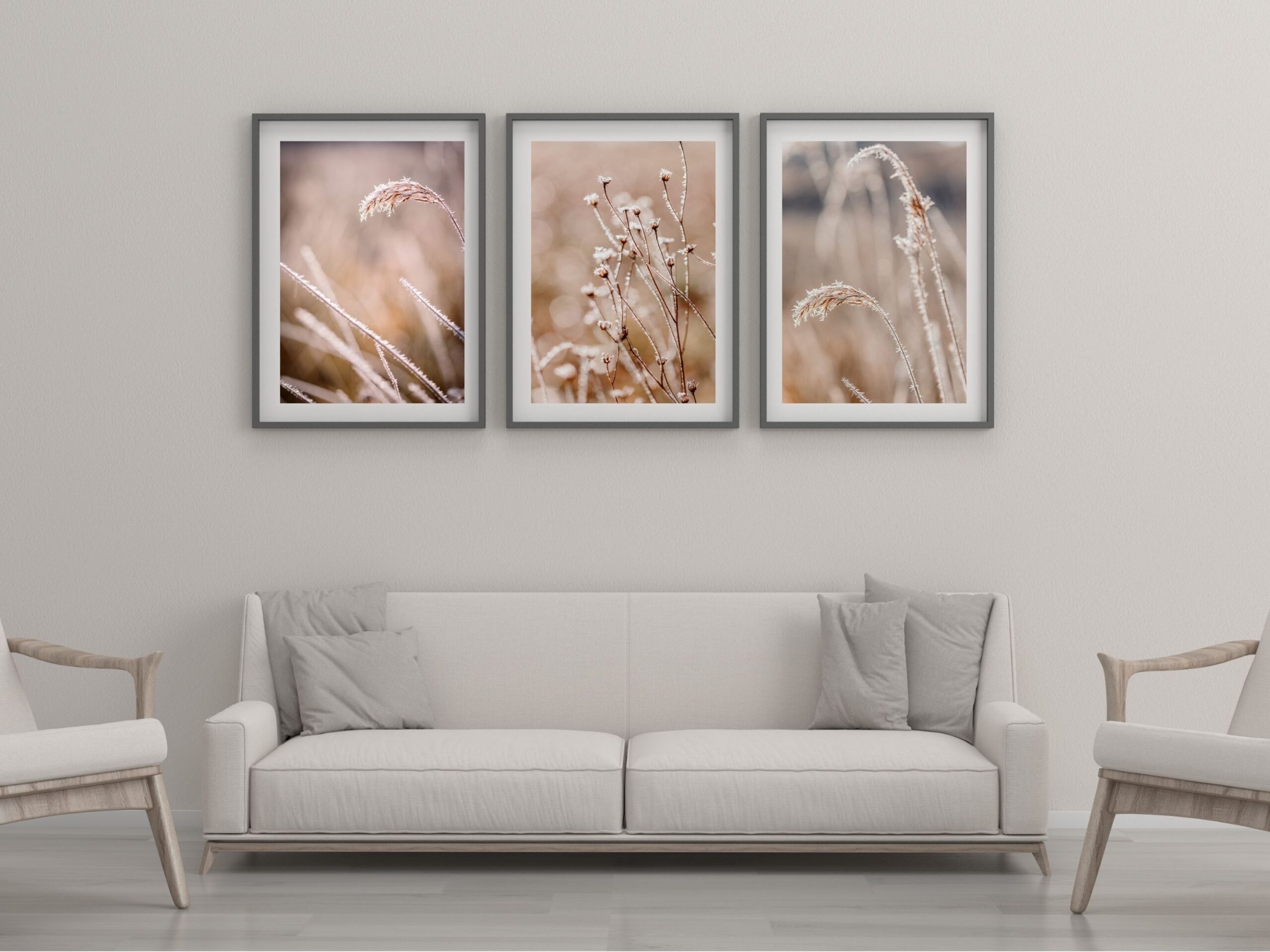 Elegant triptych set of photography prints featuring soft, frost-covered grass, adding a soothing and sophisticated touch to any modern boho interior.