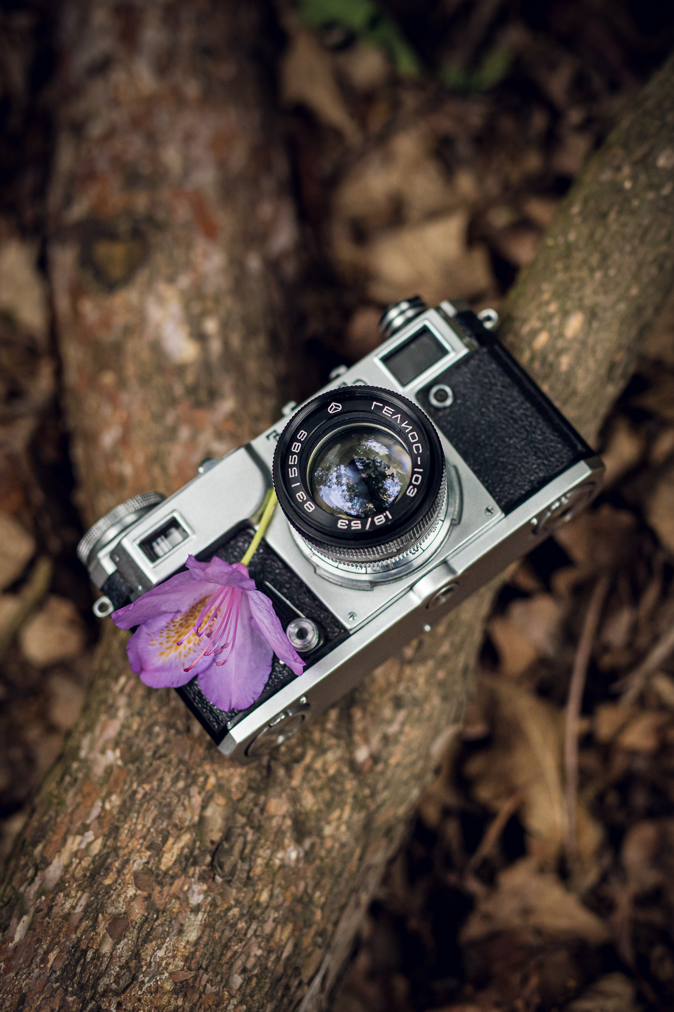 Joanna Musiał-Janicka Photography Art - klasyczny aparat fotograficzny. Fotografia uważności