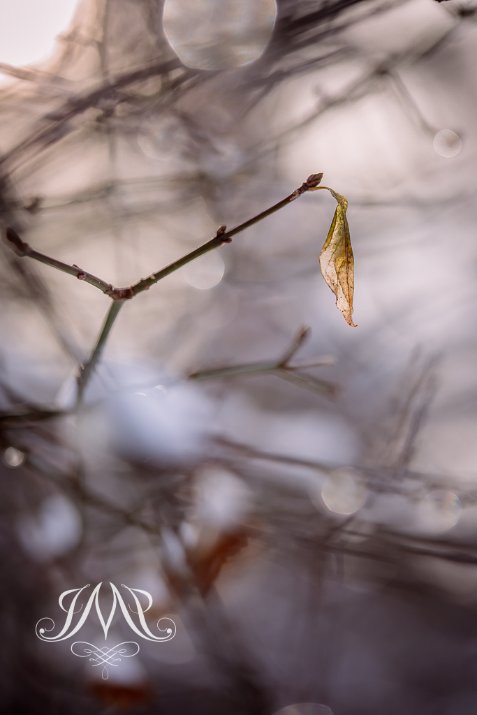 Elegant nature-inspired wall art by Joanna Musiał-Janicka – perfect for Japandi, wabi-sabi, and organic style interiors.