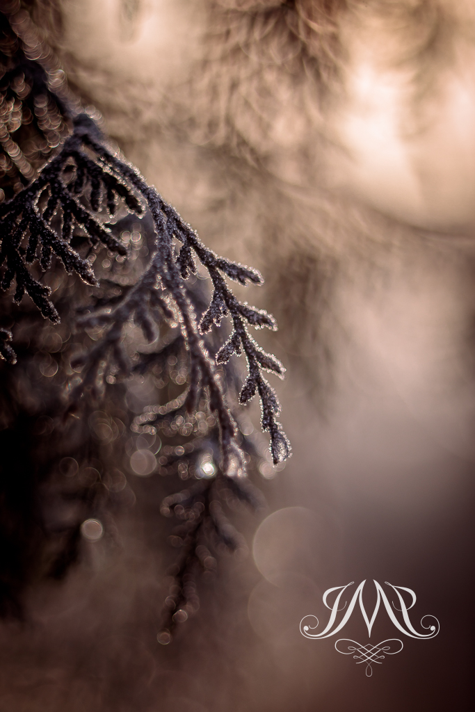 abstrakcyjna makrofotografia granatowy, dzieło sztuki