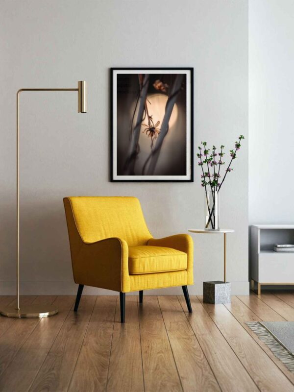 fine art macro abstract photography of dried flowers and branches, presentation in frame