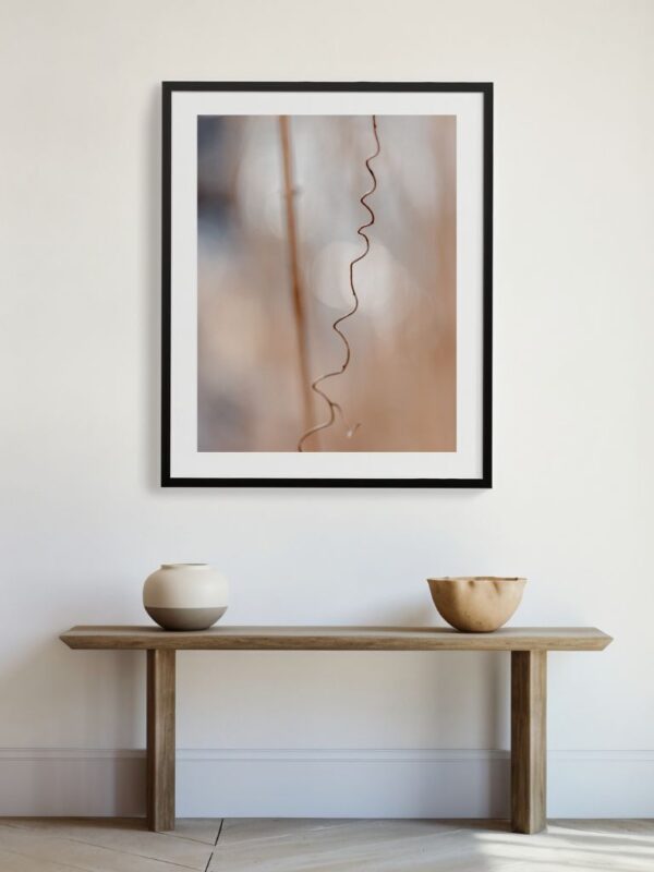 Delikatny beż nadziei - Fine Art Photography - Joanna Musiał-Janicka, musialjanicka.art (2) Botaniczna grafika ścienna autorstwa Joanny Musiał-Janickiej - subtelna i delikatna fotografia natury do uspokajających wnętrz.