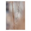 Delikatny beż nadziei - Fine Art Photoraphy -Joanna Musiał-Janicka musialjanicka.art Delikatny beż nadziei - Fine Art Makrofotografia - gałęzie w beżowym naturalnym świetle