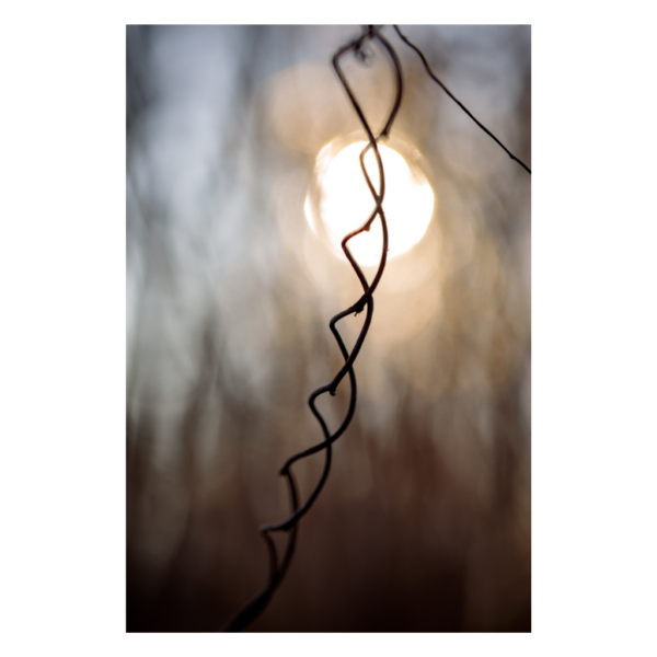 Przewodnie światło nadziei - Joanna Musiał-Janicka musialjanicka.art Światło przewodnie nadziei - Joanna Musiał-Janicka makrofotografia sztuka