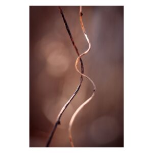 Unikalna abstrakcyjna fotografia, która wprowadzi harmonię i spokój do Twojego wnętrza. Ciepłe brązowe odcienie tworzą spokojną atmosferę.