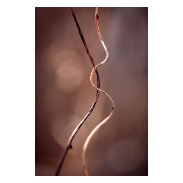 Hope -Brown Lines fine art photography, collectors edition - Joanna Musiał-Janicka musialjanicka.art a unique abstract photograph that brings harmony and calm to your interior. Warm brown hues create a peaceful atmosphere.