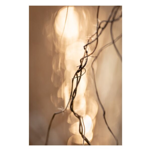 Hope Collection - Hope-Gold Fine Art Photography, Joanna Musiał-Janicka musialjanicka.art Hope-Collection-Hope-Gold-Fine-Art-Photography-Joanna-Musial-Janicka-makrofotografia, abstrakcja w beżowo-złotych odcieniach