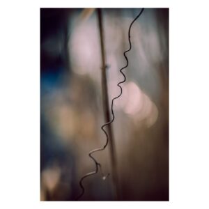 Marynarski blask nadziei, Fine Art Fotografia makro