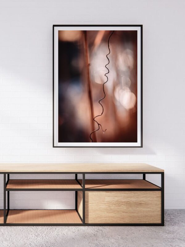 Contemporary organic wall art by Joanna Musiał-Janicka – elegant nature photography for mindful and sophisticated spaces.