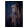 Hope – New Way, invest i n art of Joanna Musiał-Janicka musialjanicka.art Soft muted blue and delicate greyish-brown tones blend into an atmospheric composition. Modern macrophotography, fine art print