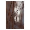 Joanna Musiał-Janicka musialjanicka.art (2) Brown Whispers of Hope - macrophotography art of twisted branches