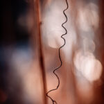 Fotografia artystyczna w odcieniach czerwieni. Abstrakcyjna sztuka botaniczna. Oryginalna grafika autorstwa Joanny Musiał-Janickiej