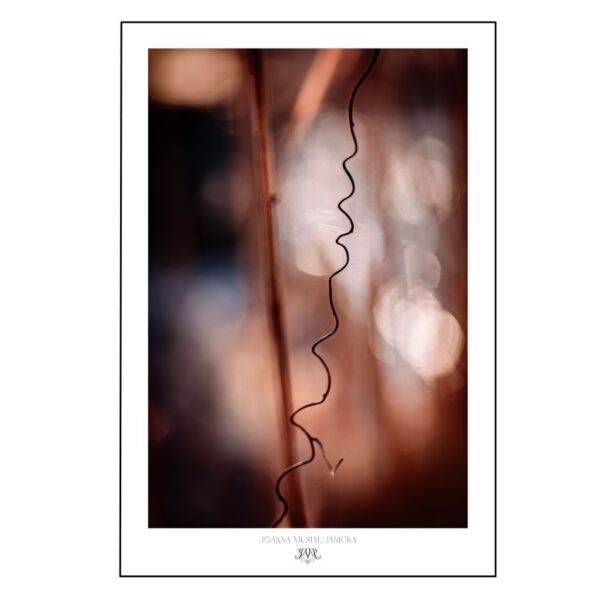 Plakat Burgundia Radość Nadziei - Joanna Musiał-Janicka musialjanicka.art (5) bordowa grafika ścienna. Marząca natura na ścianie autorstwa Joanny Musiał-Janickiej - spokojna fotografia artystyczna do świadomego życia i przestrzeni zen.
