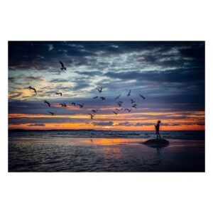 Obfitość baśni - sylwetka dziecka karmiącego ptaki o zachodzie słońca, zainspirowana prostotą i cudownością "Małego Księcia".