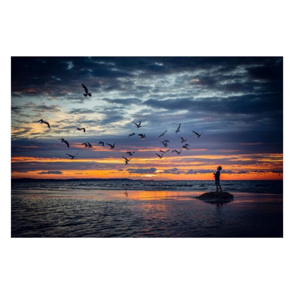 Obfitość baśni - sylwetka dziecka karmiącego ptaki o zachodzie słońca, zainspirowana prostotą i cudownością "Małego Księcia".