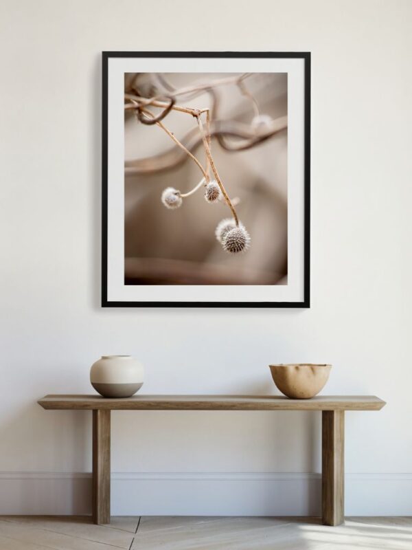 Fine Art Photography - Joanna Musiał-Janicka, musialjanicka.art (13) Abstract botanical photography in calming beige hues – part of TheLight collection