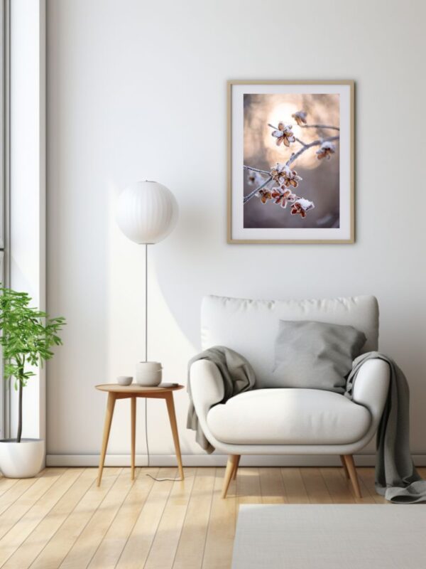 Original | Mindfulness in Winter