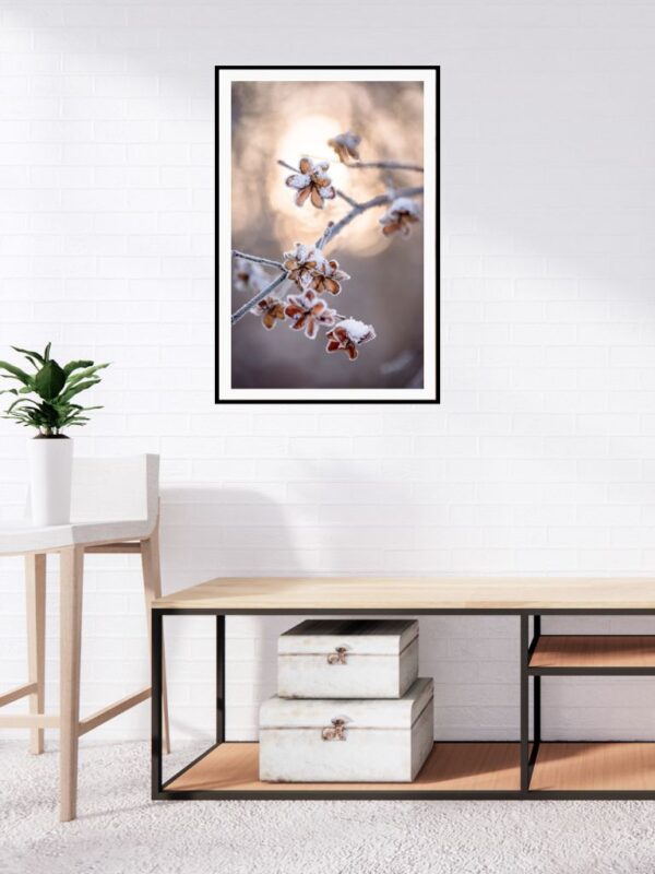 Winter mindfulness photograph showing dry flowers against a tree, in warm beige and brown tones, soothing the senses.