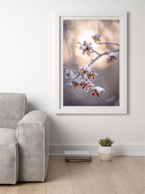 Mindfulness photography by Joanna Musiał-Janicka, depicting subtle textures of nature in a serene winter landscape.