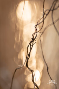 Gold Light of Hope Nowoczesna fotografia artystyczna w pastelowych beżach