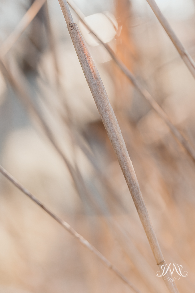 Lniany powiew nadziei - nowoczesna fotografia artystyczna. Fotografia uważności