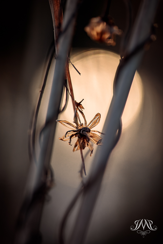 Yellow circle of Hope - Modern fine art photography in dark mood