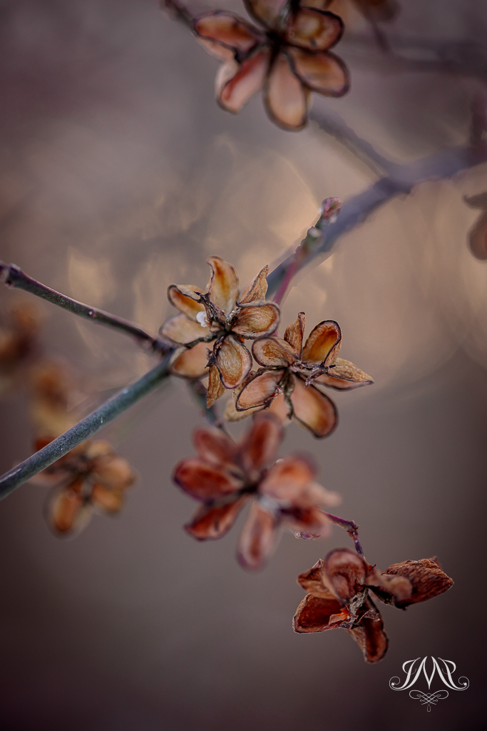 Modern fine art photography in dark mood