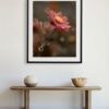 Fine art print of a pink anemone flower in full bloom, radiating simplicity and harmony, with a muted gray-brown background that enhances its delicate beauty.
