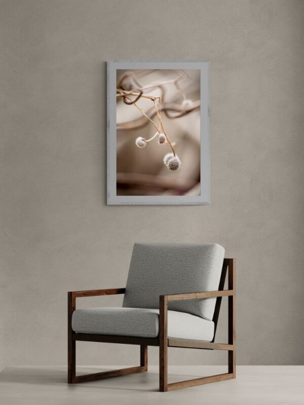 TheLightFul Seed Fine Art Photography - Joanna Musiał-Janicka, musialjanicka.art (14) Minimalist photograph of a dry branch with seed pods, perfect for Japandi-style interiors.