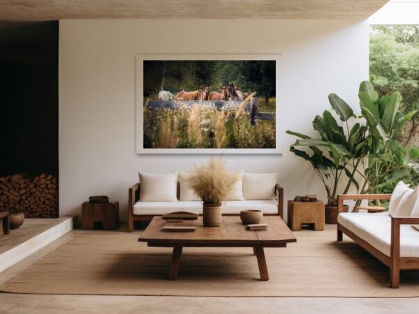 "Obfitość koni" - odbitka fotografii artystycznej z kolekcji Abundance.