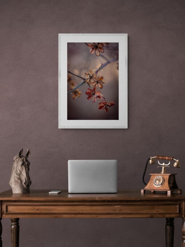 Mindfulnes in autumn-Fine Art Photography - Joanna Musiał-Janicka, musialjanicka.art (18) Joanna Musiał-Janicka’s “Mindfulness in Autumn”: dry flowers on warm brown, perfect for serene nature-inspired wall decor.