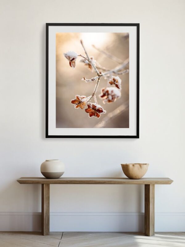 Warm beige botanical fine art photography for calming wall decor, embracing slow living and mindfulness in interior design.