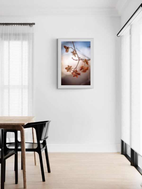 Mindfulness in Blue - Fine Art Photography - Joanna Musiał-Janicka, musialjanicka.art (18) Calm and minimalist wall art, “Mindfulness in Blue” by Joanna Musiał-Janicka, featuring dry blossoms reaching toward the sky.