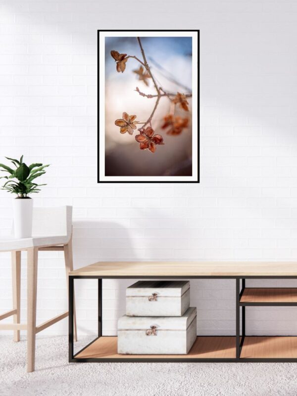 Mindfulness in Blue - Fine Art Photography - Joanna Musiał-Janicka, musialjanicka.art (19) Close-up of dry blossoms in soft natural light, “Mindfulness in Blue” fine art print by Joanna Musiał-Janicka, perfect for slow living spaces.