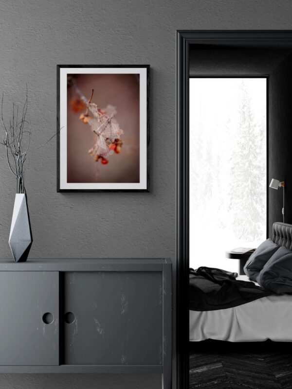 Cicha chwila w naturze: suszony płatek hortensji niesiony przez wody powodziowe, teraz zawieszony na gałęzi - uważna fotografia dla kolekcjonerów.