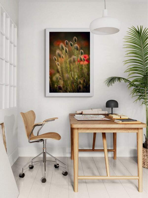TheLightFul Oczekiwanie-Fine Art Fotografia - Joanna Musiał-Janicka, musialjanicka.art (18) Fotografia artystyczna przedstawiająca skupione pąki maku w świetle świtu, z kolekcji TheLight, idealna dla kolekcjonerów sztuki slow living.
