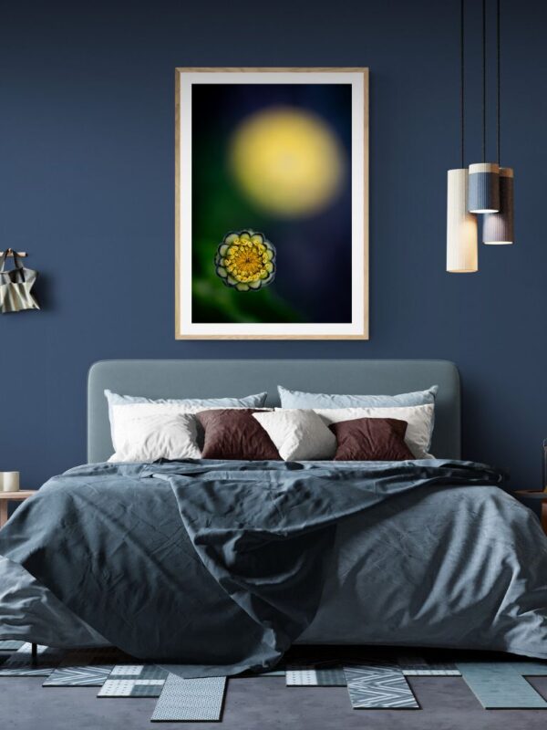 Contemporary floral art print – two yellow flowers in a poetic minimalist arrangement