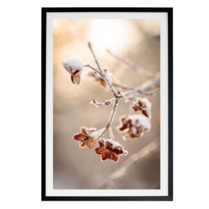 Mindfulness in Beige - delikatna fotografia suszonych traw, oprawiona grafika ścienna na płótnie autorstwa Joanny Musiał-Janickiej