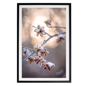 Oprawiony cienki wydruk na płótnie "Mindfulness in Winter" z pokrytymi śniegiem suszonymi kwiatami