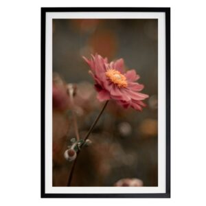 TheLightFul Blossom - minimalistyczna fotografia kwiatów w świetle słonecznym, oprawiona grafika na płótnie, fotografia artystyczna autorstwa Joanny Musiał-Janickiej