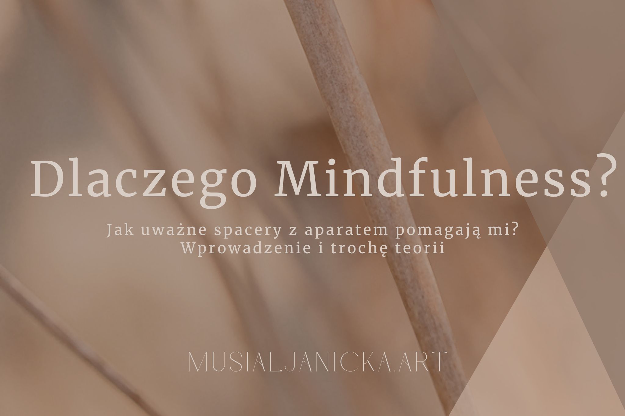 MusialJanicka.Art - Joanna Musiał-Janicka, okładka wpisu na blogu