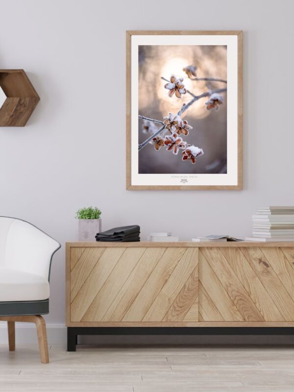 Plakat | Uważność Zimą