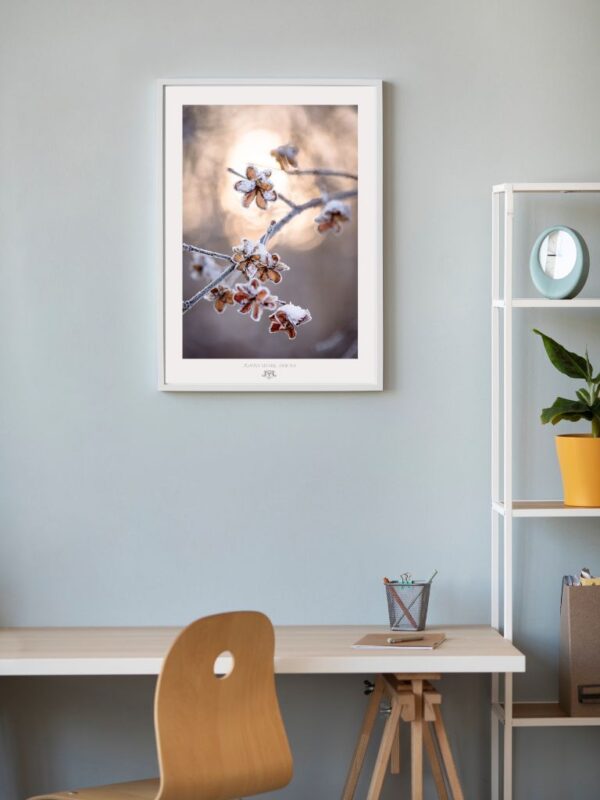 Wydruk plakatu przedstawiający pokryte śniegiem suche kwiaty, ciepłe kolory ziemi, spokojna fotografia z kolekcji Mindfulness.