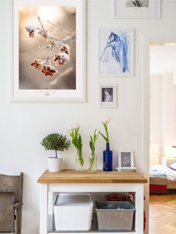 Mindfulness in Beige poster-Fine Art Photography - Joanna Musiał-Janicka, musialjanicka (1) Poster print showing beige dry grasses in soft muted light, peaceful photography from the Mindfulness Collection