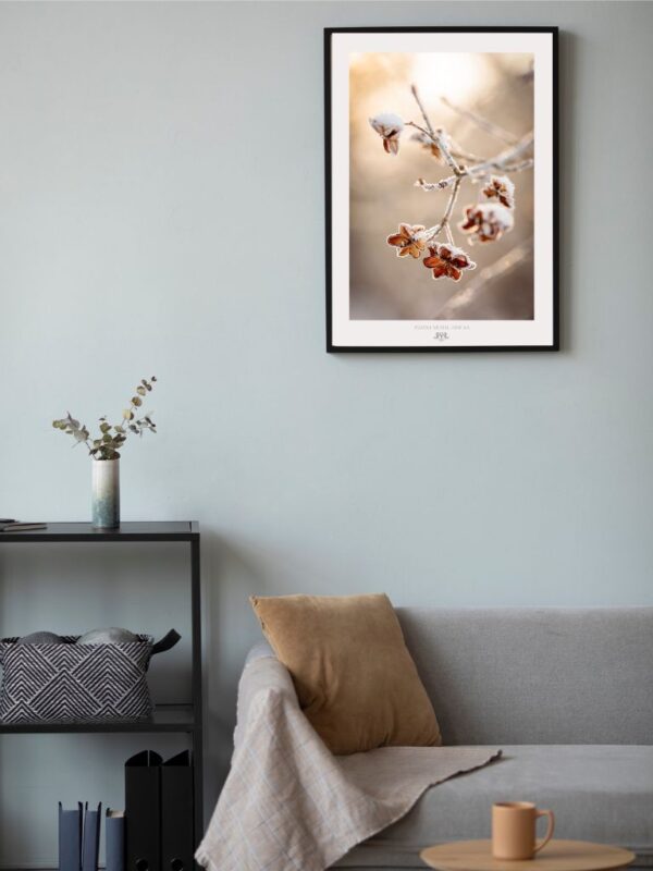 Mindfulness in Beige poster-Fine Art Photography - Joanna Musiał-Janicka, musialjanicka (2) Minimalist beige botanical poster – dry grasses, soft tones, natural wall art for calming interiors