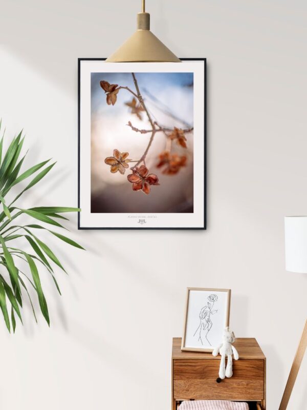 Plakat "Mindfulness in Blue" Joanna Musiał-Janicka - pogodna kompozycja botaniczna, suszone kwiaty, artystyczna fotografia organiczna, grafika ścienna inspirowana naturą