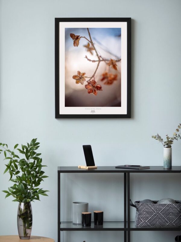 Artystyczny wydruk plakatowy "Mindfulness in Blue" Joanna Musiał-Janicka - suszone kwiaty, fotografia organiczna, inspirowane naturą dekoracje botaniczne do wnętrz