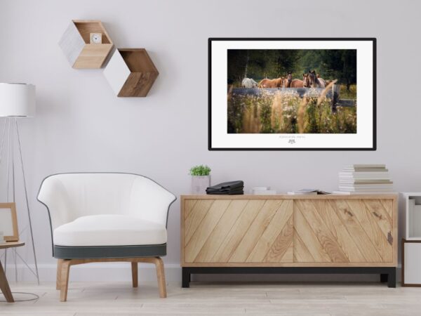 Limited edition wild horses photography print in muted green for calm interiors